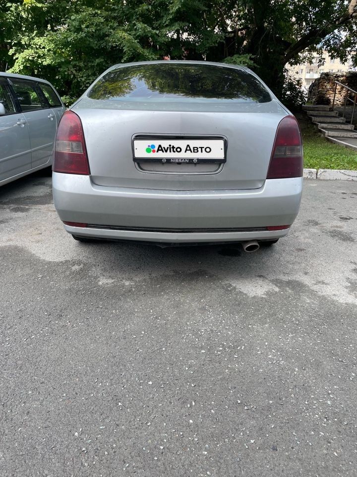 Nissan Primera: фото из отзыва
