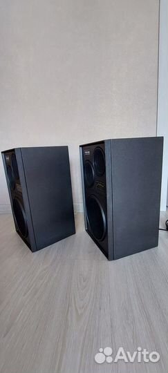 Акустика колонки Вега 25ас-309