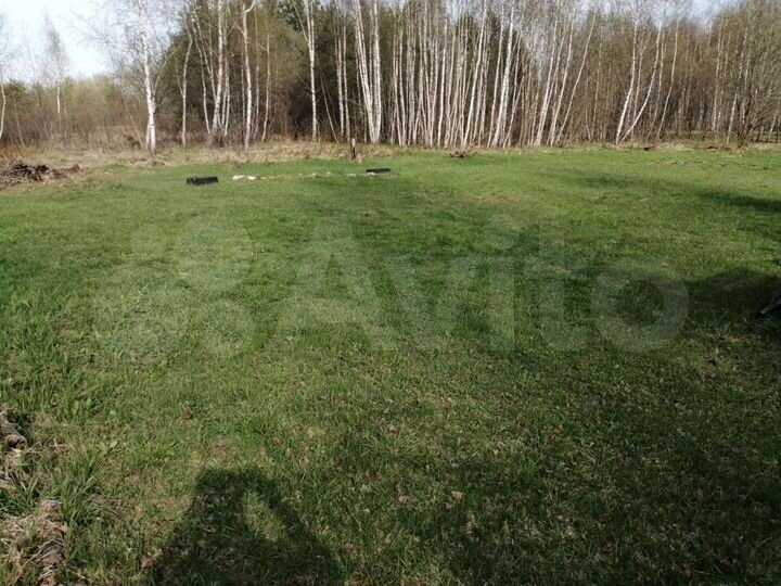 Участок 6,5 сот. (СНТ, ДНП)