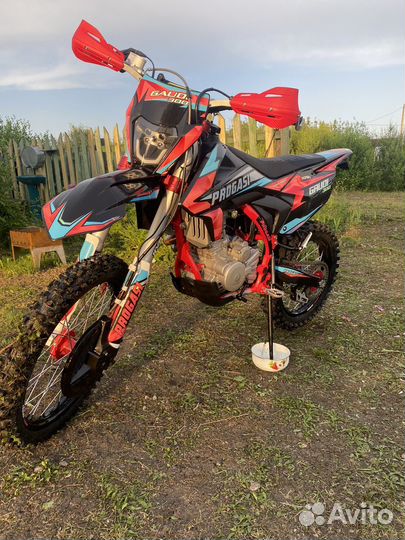 Прогасси Гауди 300