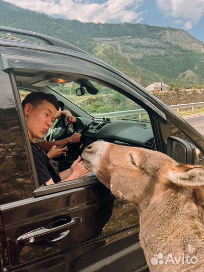 Тур в Дагестан новый