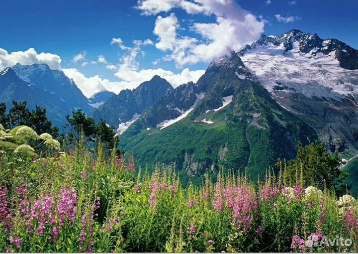 Жемчужина Кавказа Домбай и Теберда через Гум Башы