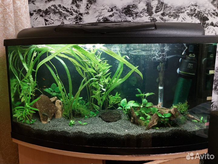 Большой аквариум на 100 л с крышкой. С рыбками