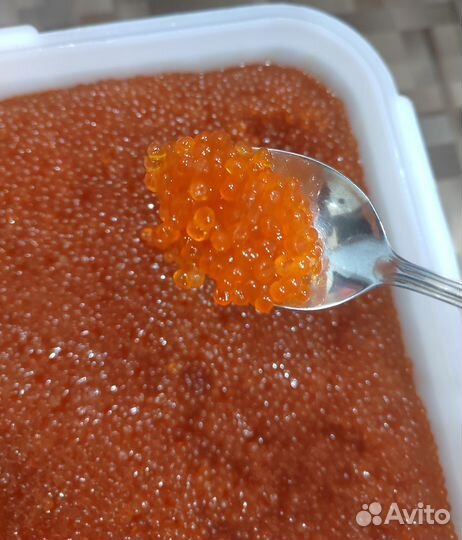 Красная икра 2023