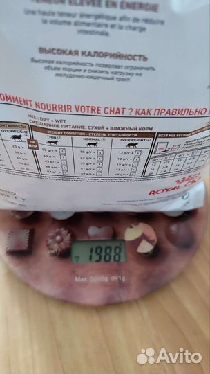 Корм для кошек роял канин