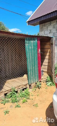 Вольер для собак