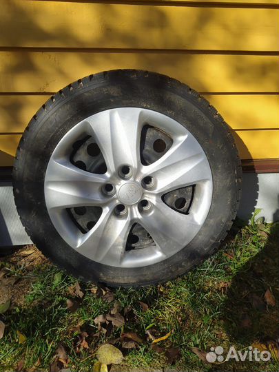 Hankook Winter I'Pike 205/55 R16