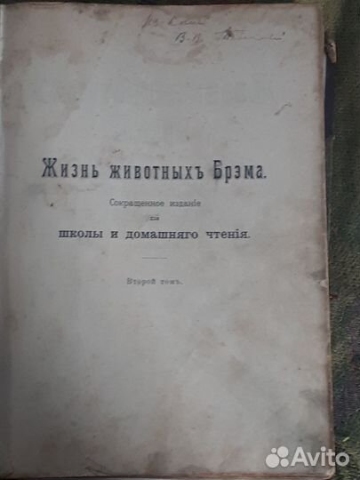 Жизнь животных Брэма 1902 г