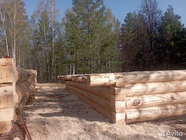 Сруб для дома 6х8