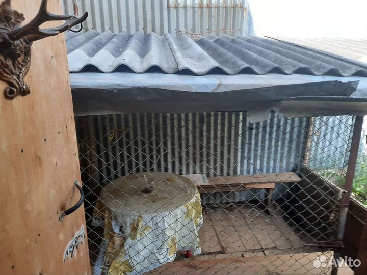 Вольер для собаки