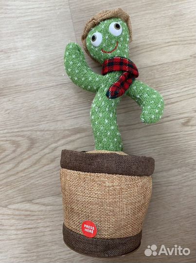 Поющий кактус