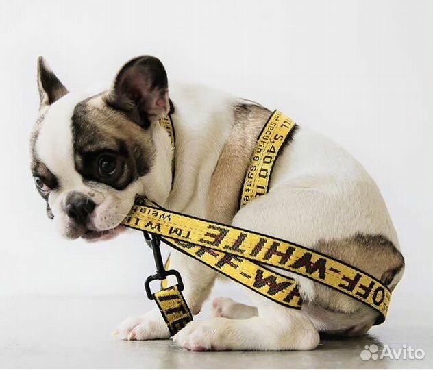 Ошейник с поводком Off Whte