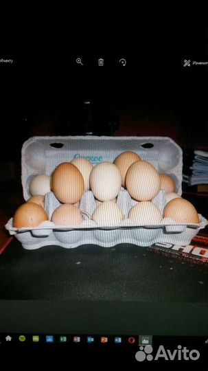 Инкубационное яйцо кур и уток