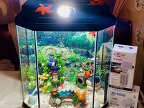 Чудесный аквариум на 25 литров (полный комплект)