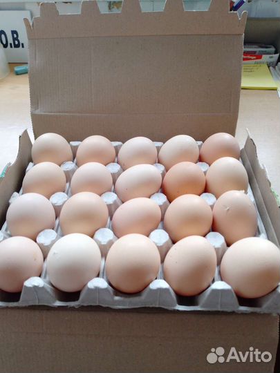 Деревенские яйца