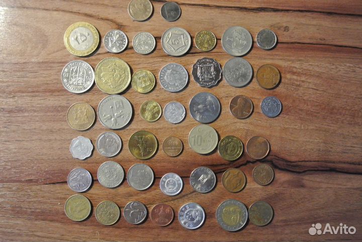 Отличный подарок начинающему коллекционеру