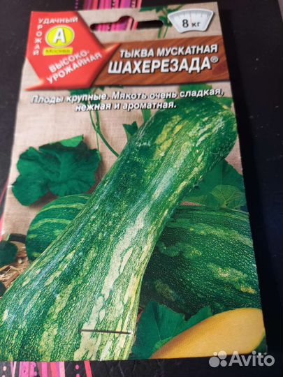 Семена тыквы