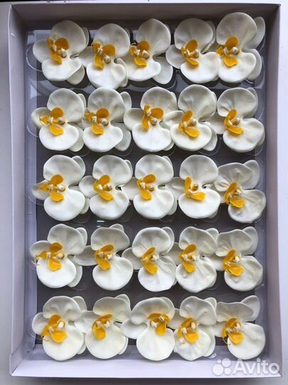 Орхидея мыльная