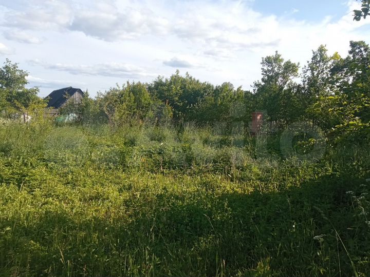 Участок 25 сот. (ИЖС)