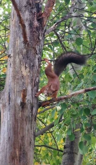 Дача 12 м² на участке 6 сот.