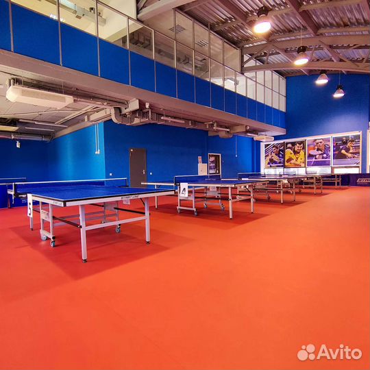 Аренда теннисного стола