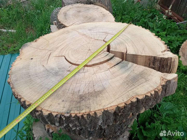 Поперечный спил ясеня