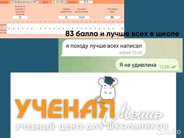 Репетитор по информатике огэ егэ 9 11 класс