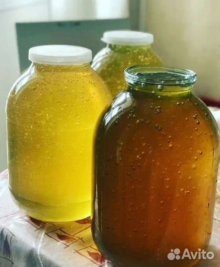 Мед в сотах