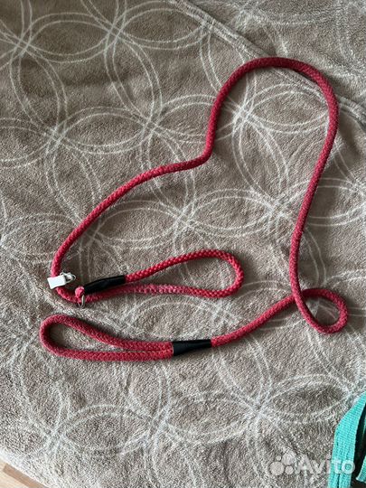 Поводок для собак, ошейник для собак