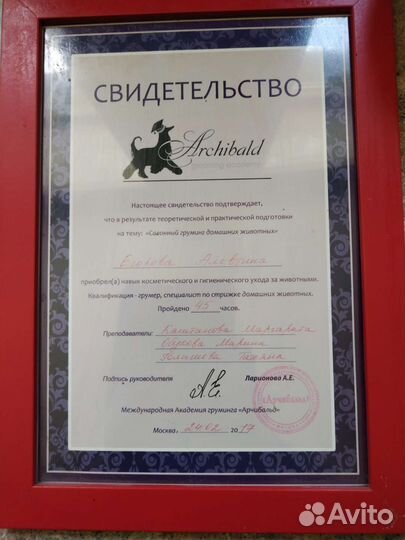 Стрижка кошек на дому