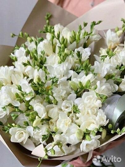 Альстромерия оптом и в розницу