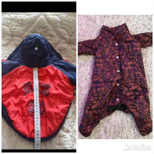 Попона и комбинезон для собак