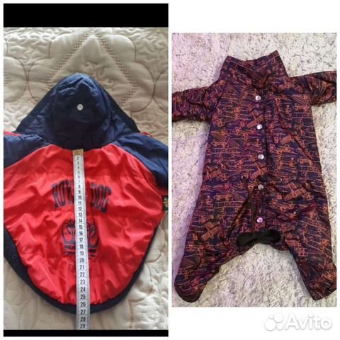 Попона и комбинезон для собак