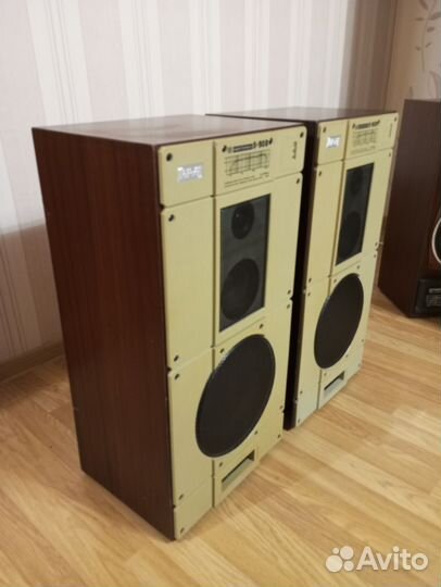 Колонки Radiotehnika S90B (С90)