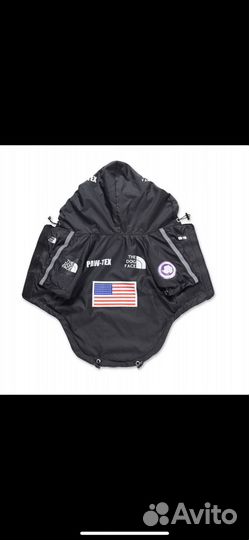 Ветровка для собаки