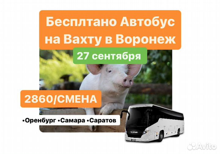 Разнорабочие вахтой. Автобус каждую среду