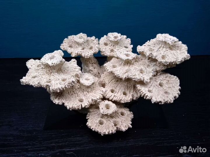 Moredekore.Керамика для морских аквариумов