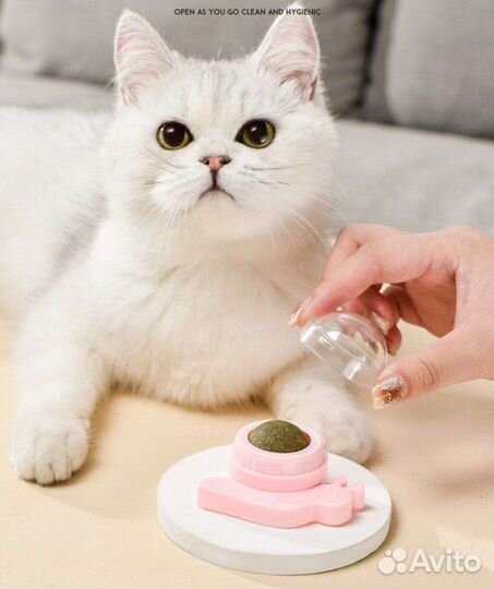 Кошачья мята