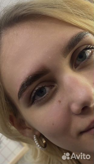 Обучение на бровиста