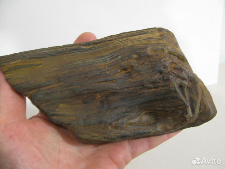 Окаменелое дерево (в коллекцию)