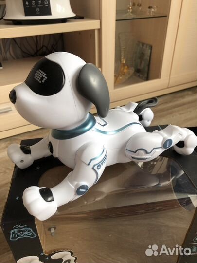 Собачка на дистанционном управлении