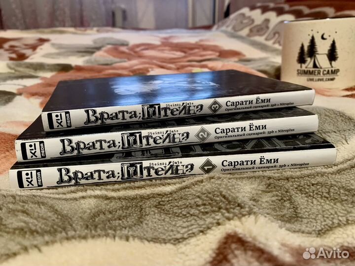 Манга «Врата Штейна»