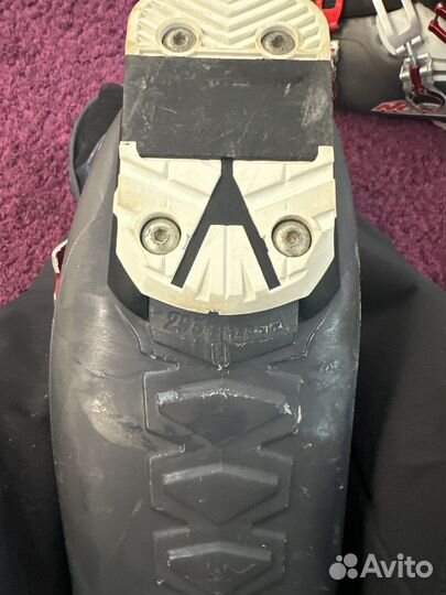 Горнолыжные ботинки nordica nxt