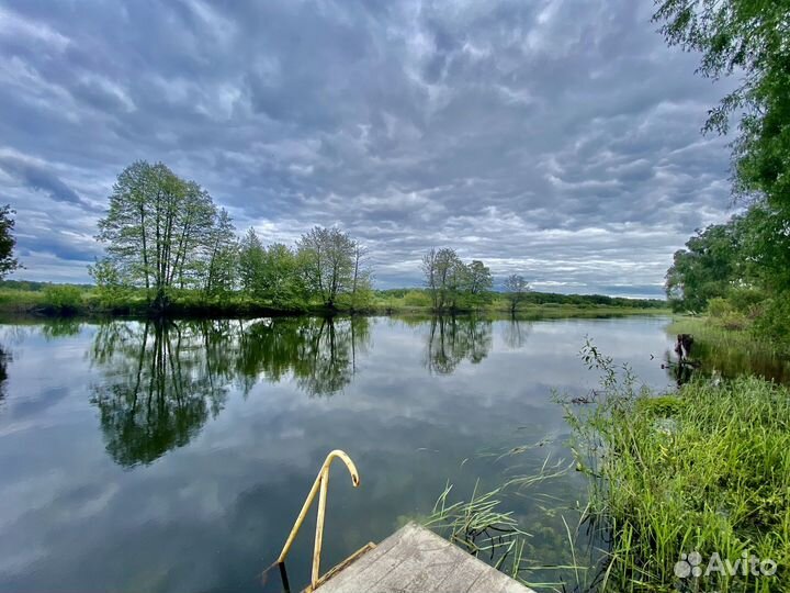 Отдых на берегу реки