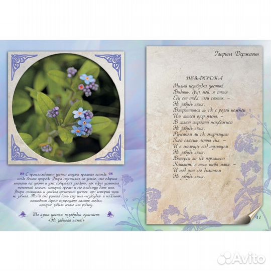 Цветы к празднику. Брошюра-открытка