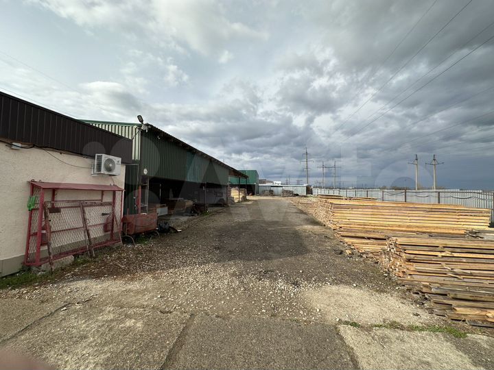 Торговая площадь, 1500 м²
