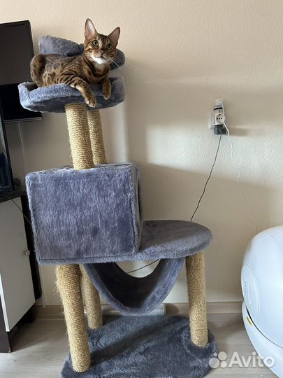 Кошачий домик с когтеточкой