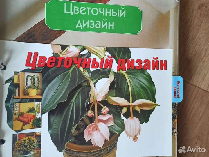 Книги о комнатных и садовых растениях