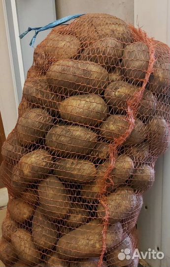 Продам картофель с доставкой