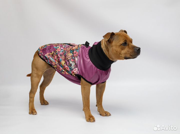 Жилетка для собак